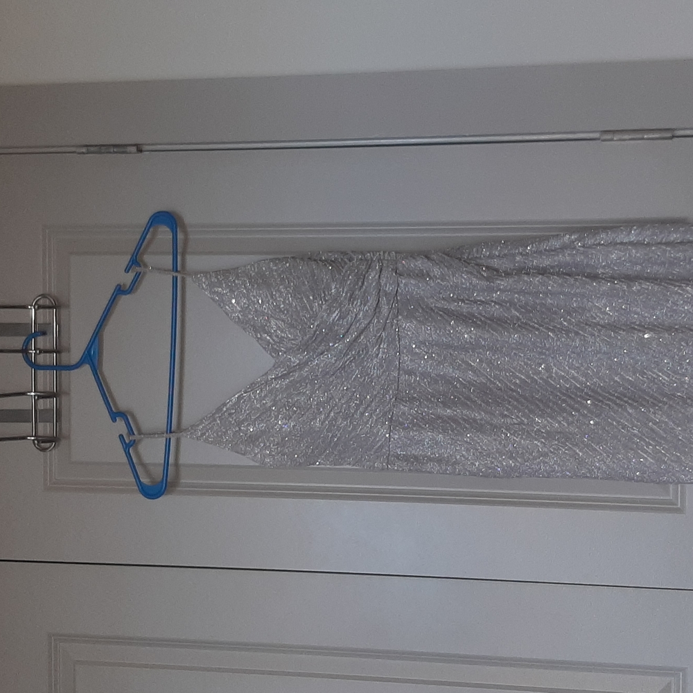 Nightway Sparkly Silver Gown from Belk